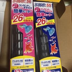 野良猫様専用のサムネイル