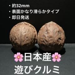 336【新品未使用】遊びクルミ(文玩核桃) 日本産鬼グルミ・表面滑らか