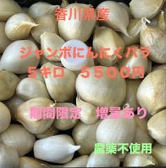 ジャンボにんにくバラ 5キロ - メルカリ