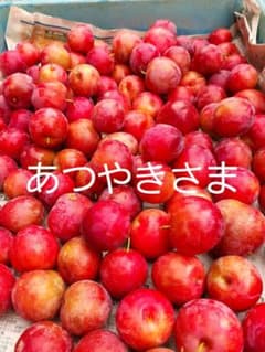 あつやきさま専用のサムネイル