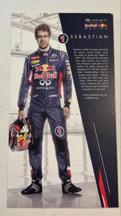 セバスチャン・ベッテル　レッドブル RB6／2013ドライバーズカード／2L写真 Infiniti Red Bull Racingでのセバスチャン・ベッテル