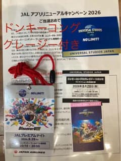USJ 8月28日 JALドンキー確約券付プレミアムナイトパス 1名分のサムネイル