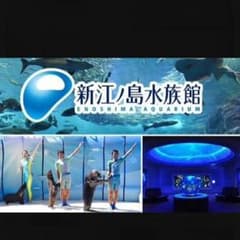 江ノ島水族館親子2名様無料のサムネイル