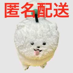 m47627231392_1.jpg?1755180389