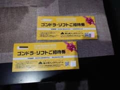 富士見パノラマリゾート　ゴンドラリフトご招待券2枚のサムネイル
