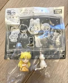 30th 미소녀 전사 세일러 문 허그콧트 3