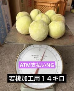 若桃加工用14キロのサムネイル