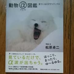 動物アルファ図鑑 : 見ているだけでリラックスのサムネイル