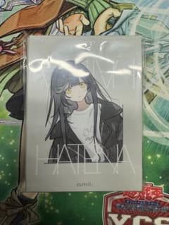 【開封済み】amii HATENA スリーブのサムネイル