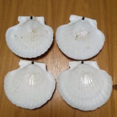 けぴ様専用のサムネイル