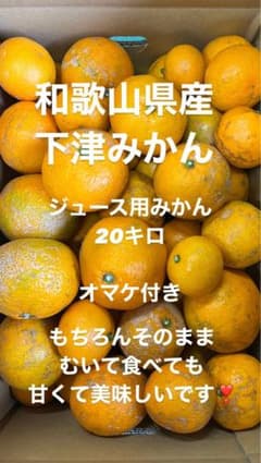 和歌山県産　下津みかん　ジュース用20キロ　オマケ付きのサムネイル