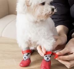犬用シューズ　４足セット　カラーブルー　サイズＳ　【ほぼ未使用】のサムネイル