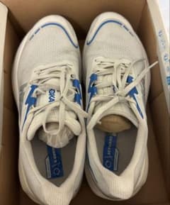 Hoka Skyward X 26.5cm