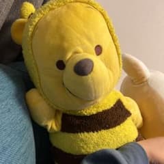 ぷーのぬいぐるみのサムネイル