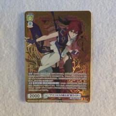 ヴァイスシュヴァルツブラウ アマゾネスの戦士長 真ライダー SP　Fate