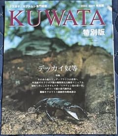 クワガタ カブトムシ専門雑誌 KUWATA 特別版 2002年5月 - メルカリ