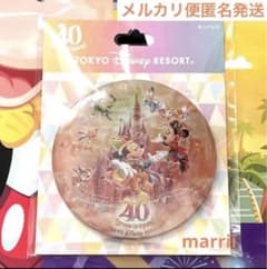 カンバッジ　ディズニー40周年 ドリームゴーラウンド　TDRのサムネイル