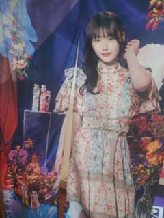 乃木坂46 岡本姫奈 乃木フェス 直筆サイン入り のれんのサムネイル