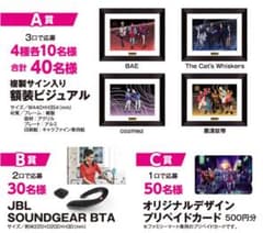 サイン入り額装（額縁）ビジュアル The Cat’s Whiskers パラライのサムネイル
