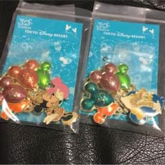 TOKYO DISNEY RESORTのサムネイル