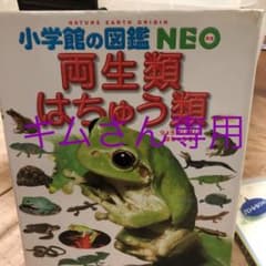 両生類・はちゅう類のサムネイル