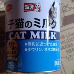猫のミルクのサムネイル