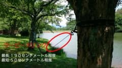 ウーピースリングのサムネイル