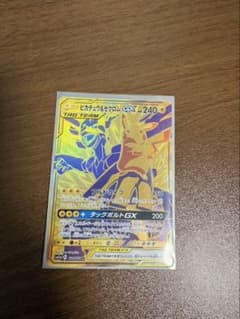 ピカチュウアンドゼクロムURのサムネイル