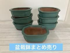 盆栽鉢　植木鉢　植え替え　ガーデニング　深型　陶器のサムネイル