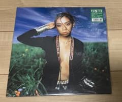 UA 11 アナログレコード LP盤 - メルカリ