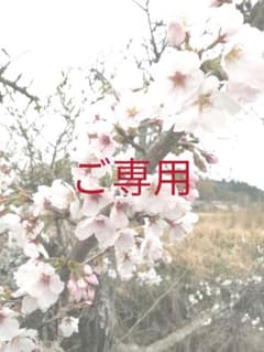 まりり様のご専用ページのサムネイル