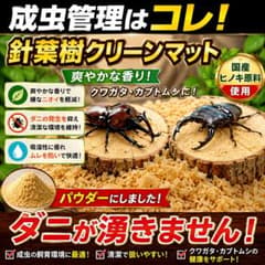 カブトムシ、クワガタの成虫飼育専用 ヒノキのパウダーマット ダニが