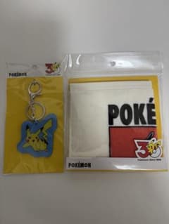 3coins ポケモン 30周年記念 キーホルダー＆ミニタオルセットのサムネイル