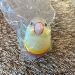 まんまるかわいい小鳥ライト3のサムネイル