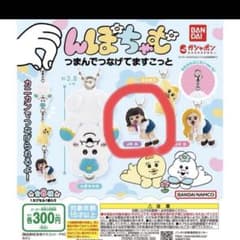 んぽちゃむ　ガチャガチャ　JKのサムネイル