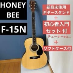 アコースティックギター HONEY BEE F-15N - メルカリ