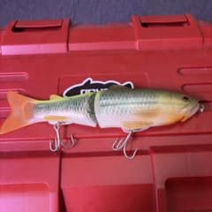 スライドスイマー250ssのサムネイル