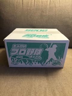 プロ野球チップス 2025 6袋入り　カード12枚