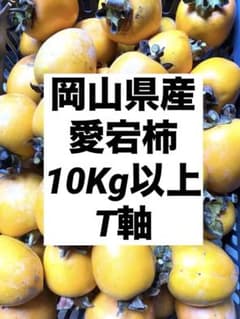 岡山県産あたご柿（渋柿）10キロ約50個以上‼️のサムネイル