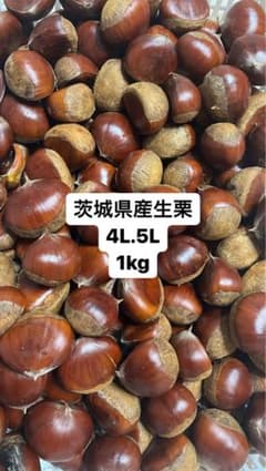 生栗　茨城県産　4L.5L   1kgのサムネイル