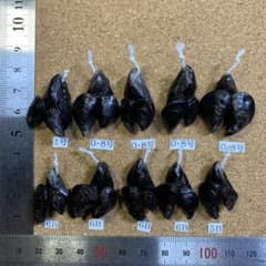 Mイガイ団子ルアー （カラス貝ルアー）擬似餌10個のサムネイル