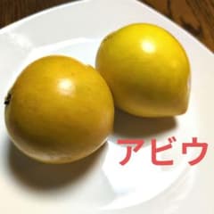 アビウ 　2コ　300gのサムネイル