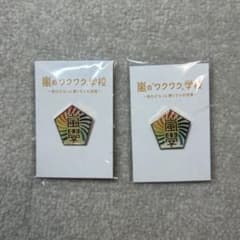 嵐のワクワク学校　ピンバッジ 2個セットのサムネイル