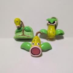 モンコレ マダツボミ ウツドン ウツボット ポケモン - メルカリ