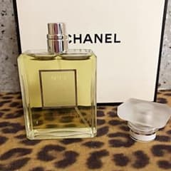 CHANEL No19プードレ未使用に近い‼️年始セール中‼️のサムネイル
