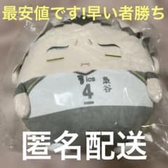 ハイキュー　木兎光太郎　星海光来　C賞　くじメイト　ぬいくじ　ふわコロりん ハイキュー くじメイト ぬいくじ C賞 ふわコロりん Mサイズ 木兎光太郎