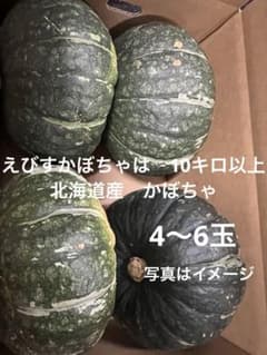 かぼちゃ 箱込み10キロ以上のサムネイル