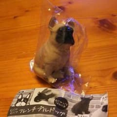 むにゃむにゃフレンチブルドッグのサムネイル