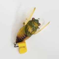 ティムコ　TT cicada Ⅱ ハルゼミのサムネイル