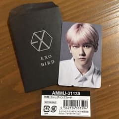exo  ベッキョン　トレカ　birdのサムネイル